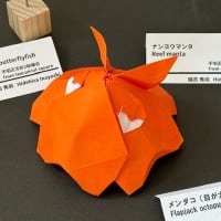 第14回折紙探偵団九州コンベンションに参加してきました、おまけ。
