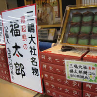 懐かしい三島大社の桜