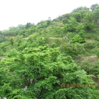 小(お)矢(や)部(べ)市: 倶利伽羅峠：不動寺①日本三大不動寺感激参拝！