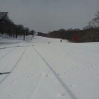 ４月だと言うのに雪が降りました。