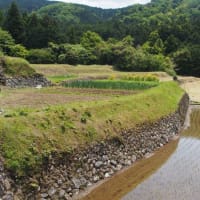 静岡県・伊豆市の「荒原の棚田」
