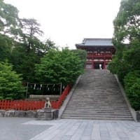 2025　梅雨入り前　鎌倉
