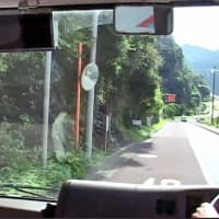 八丈小島もあるく　よみがえれ　三宅島応援ツアー　８回目　八丈島