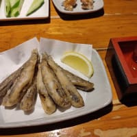 えびの高原