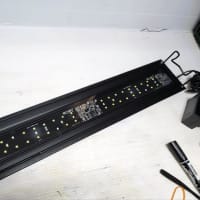 中古 GrassyLeDio 60cm用LEDライト GrassyWing2 60 Fresh