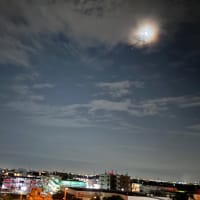 そして火曜日水曜日。and本日木曜日。