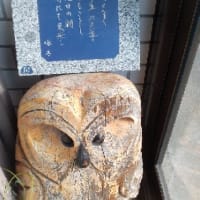新年