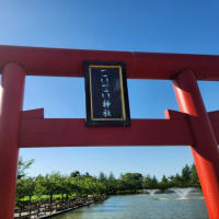 お出かけ🚗³₃