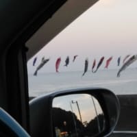 奥伊勢の風になって