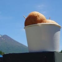 羊蹄山・・・🌸三島さんちの芝ざくら＆🏪コンビニ富士