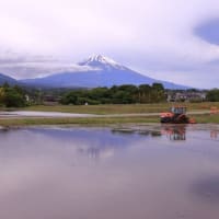 富士山　今朝二度目なる散策に...  なんとか、見られるような... ( ^)o(^ )