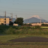 5月10日の続き～川と鳥と富士と田んぼ～♬