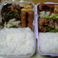 我が家のお弁当🍱(∩´∀｀)∩ﾜｰｲ　2025/07/12とその前
