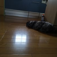 よく寝るよ