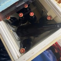 ウオーターショーケースの水を取り替えた。
