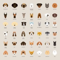犬種を調べる