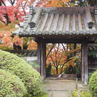 茨木　大門寺の紅葉