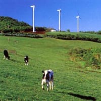 山根知起のおすすめ。