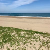 ５月の海