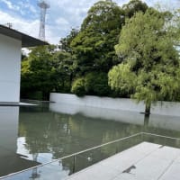 心がざわざわする時は…