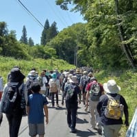 猛暑のハイキングに参加しました！