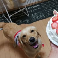 5月25日(木)　ぽっちゃん♡2歳のお誕生日🎂✨