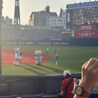横浜ベイスターズ観戦
