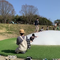 もうすぐ春ですね
