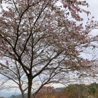 天竜峡　そらさんぽ