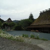 久しぶりに京都府・美山町の「美山かやぶきの里」までドライブしてきました。