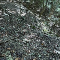 日笠地区旧坑　その２