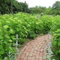 自立支援医療更新手続きに・・・