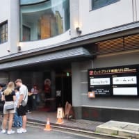 祇園で猫がらみ　先斗町