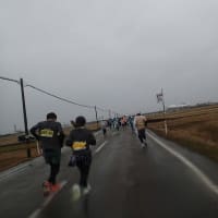 撃沈した新潟ハーフマラソン