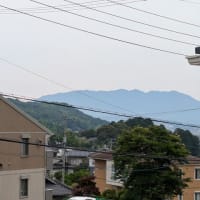 銀龍の言葉　　　　中国地方は梅雨明けしたそうです