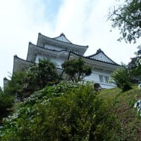 小田原へ