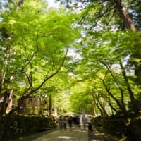 金沢〜福井、夏のアート旅⑤