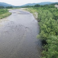6月末の解禁日前に23日と25日に北越三面川の河川状態川見ですよー❕何とか期待したいねー❕❓