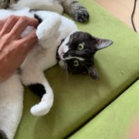 ユニの慣れ