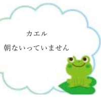   カエル