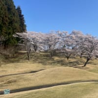 ゴルフ