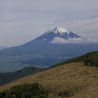 初夏の愛知・静岡の旅（９）箱根駒ヶ岳　