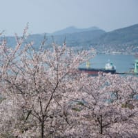 AIも花盛り
