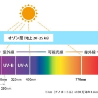 6／８（土）＃芒種3日＃新月2日＃東京都・大田区＃紫外線の悪影響例
