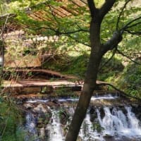 貴船山ハイキング