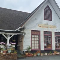 カフェレストラン ざぼん「ざぼんセット」(浜松市)🆕️