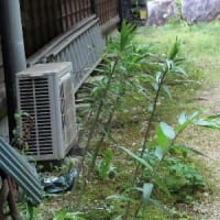 再び会える日のために（感謝）
