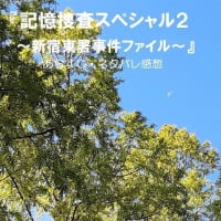 『記憶捜査スペシャル２～新宿東署事件ファイル～』あらすじ（6月20日放送）