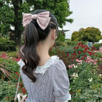 バラを愛でに
