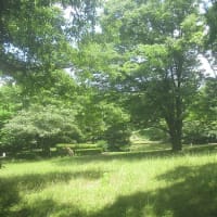 心地良い風に吹かれて糸の切れた風船のように